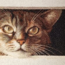 Процесс «Кот в окошке»