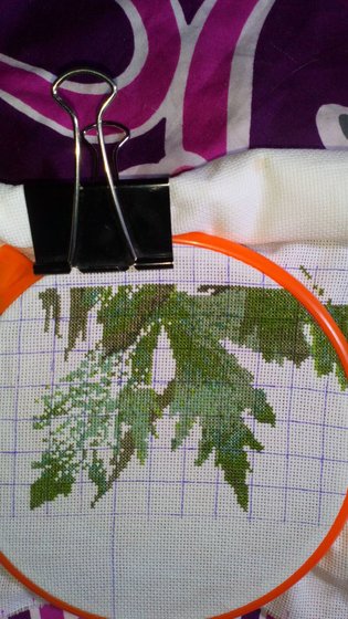 Этап процесса «Дельфиниум»