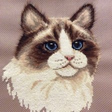 Процесс «Рэгдолл»