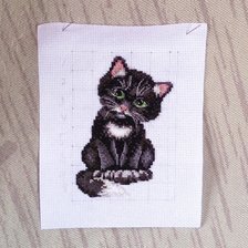 Процесс «Черныш»