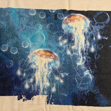 Процесс «Медузы»