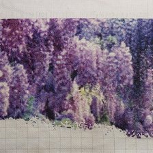 Процесс «Рай на Земле»