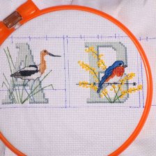 Процесс «Алфавит с птичками»