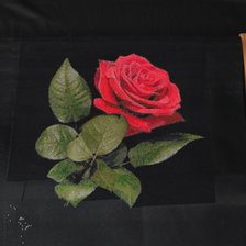 Процесс «Роза»