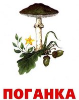 poganka