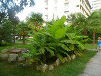 натусик09051989