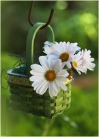 ИринаПашкан