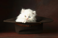 СветланаИванова