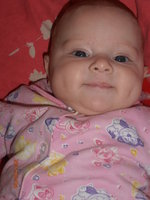 натализлата