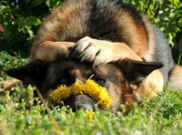 Екатерина1412