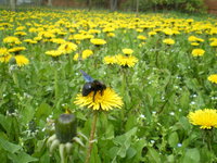 элеонора1970