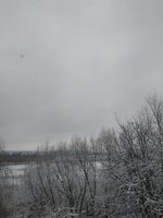 Кваснікевич