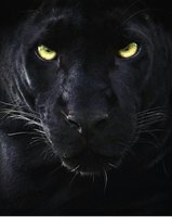 ЕкатеринаИгоревна1982