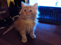 Наталияелумеева