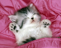 Натальяmixailovka