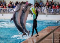 ольгунчик37