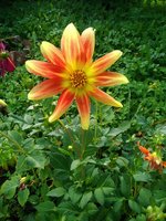 Маришок190759