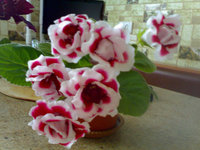 Адександр1951