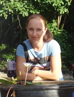 Вельгельмина