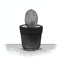 Просто_кактус1