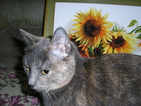 Ленка65Елен